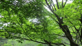 国立小学校受験 年中さんが使うべき問題集 | 国立小学校受験【幼児教育