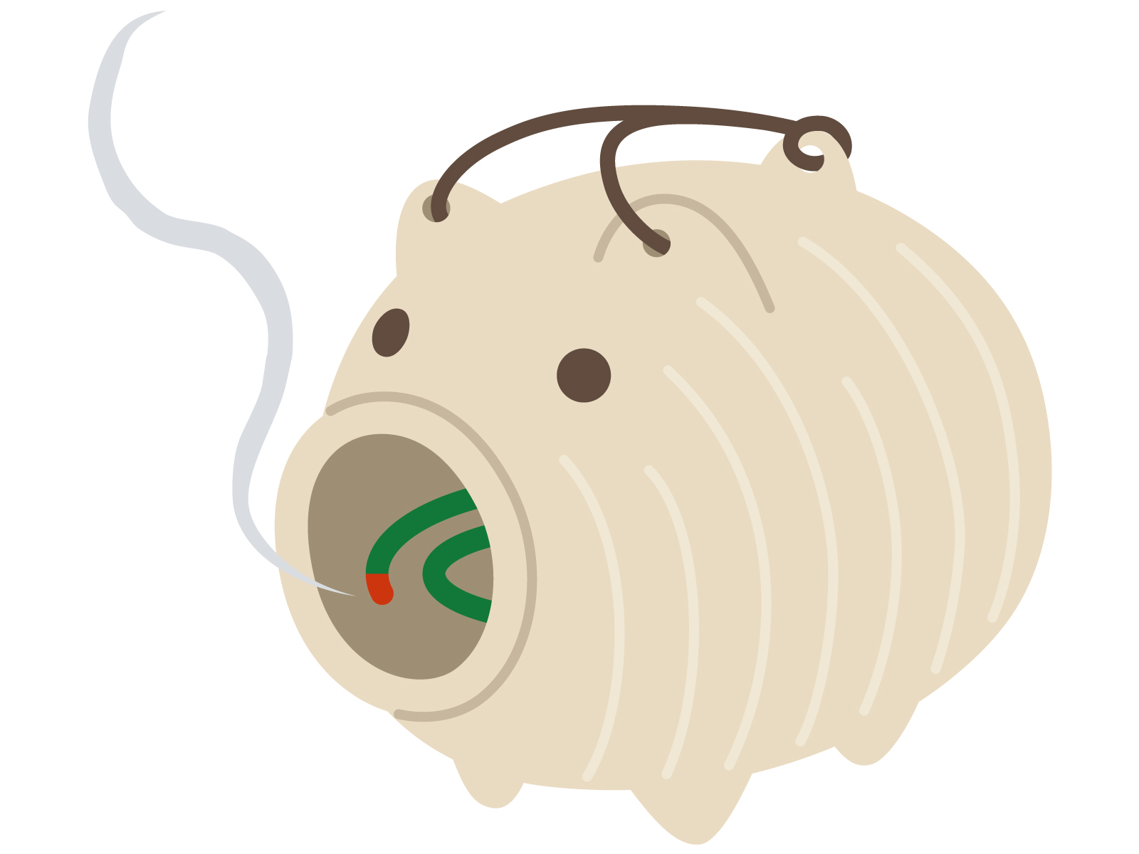 ロードトゥ筑波 ちきゅうまる 満席につき増設します！】“ロード トゥ